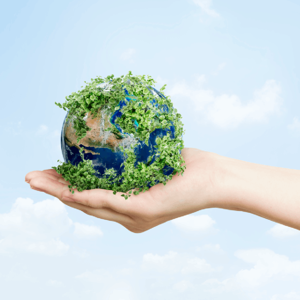 Responsabilidade ambiental: pegada de carbono